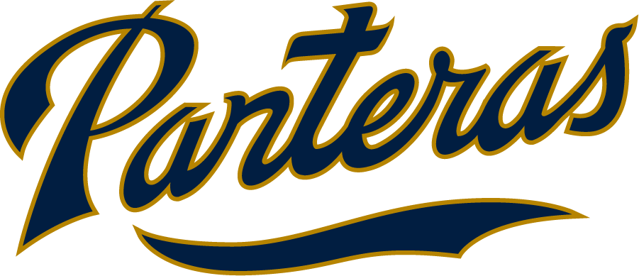 FIU Panthers 2017-Pres Wordmark Logo v2 diy iron on heat transfer